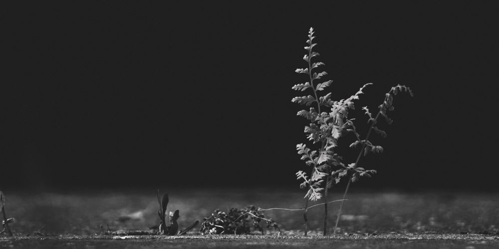 Фотография автора Vitaly