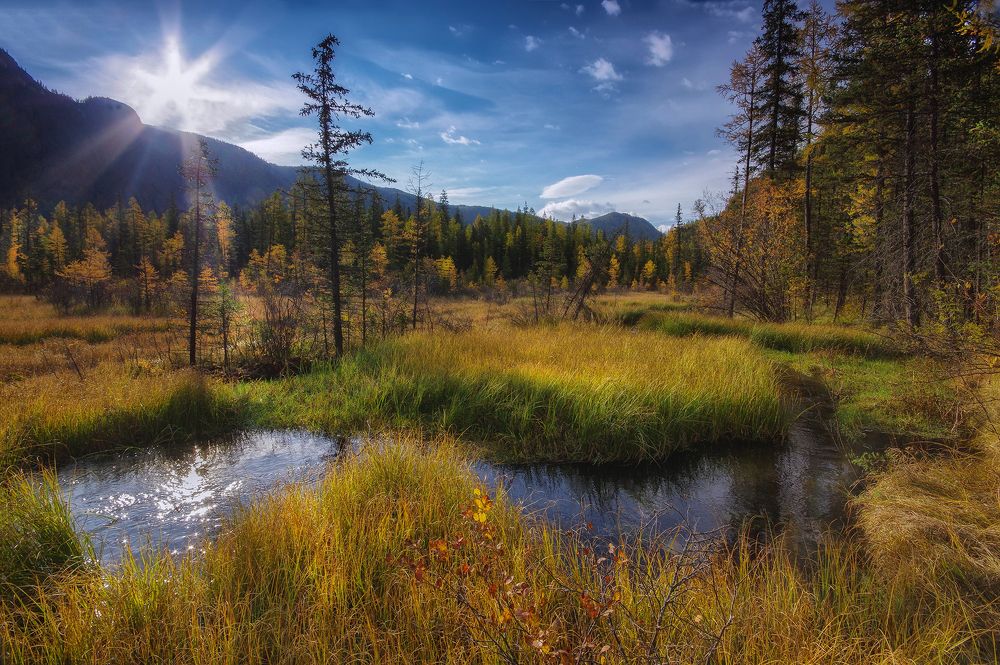 Photograph by Чичкин Валерий