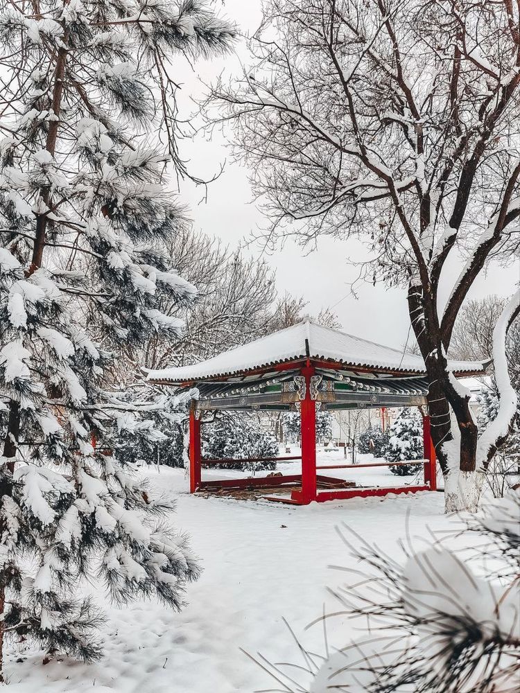 Photograph by Irina Grass