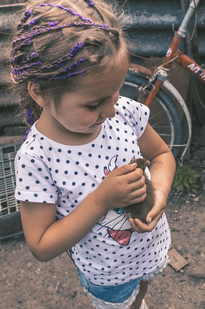 Photograph by Виталий Шкадинов