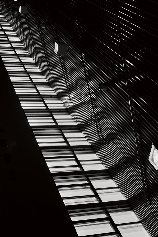 Фотография автора Виталий Коптев