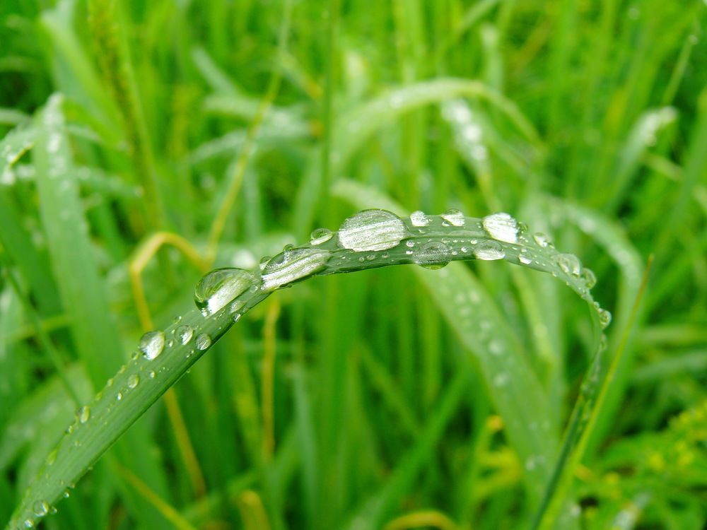 После дождя.