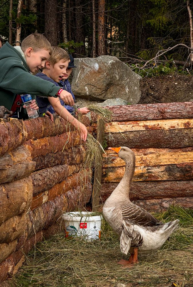 Photograph by Tanzilya Gabidullina