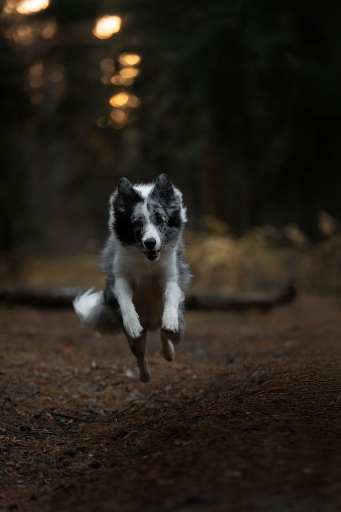 Photograph by Галина Простосердова