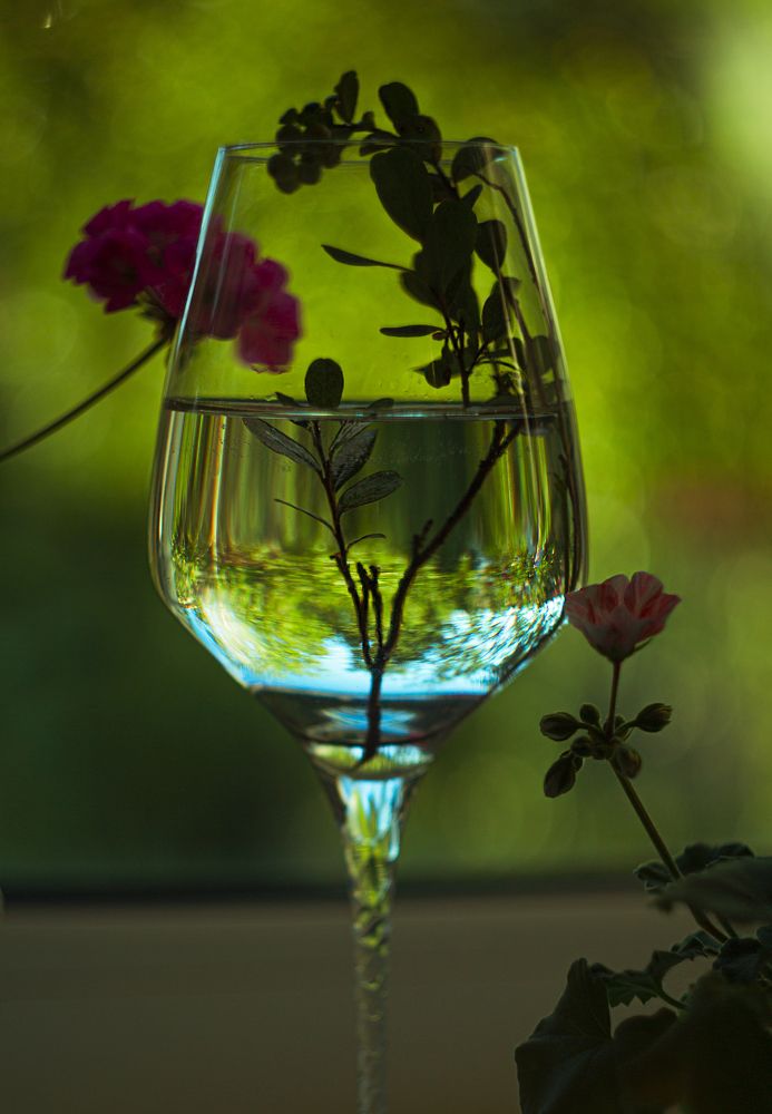 Фотография автора Елена Разина