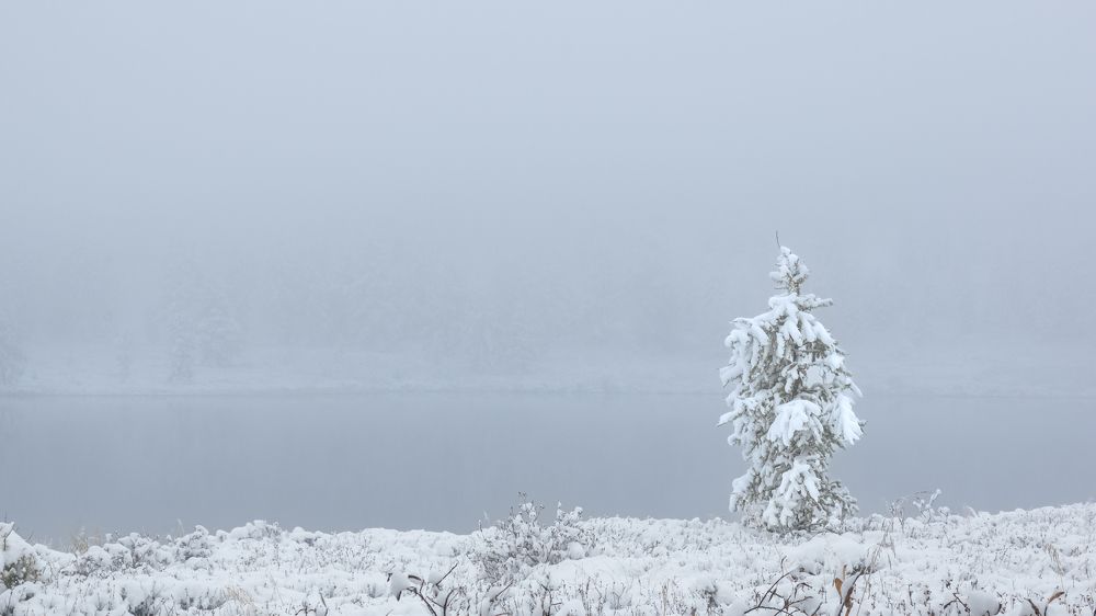 Photograph by Devender Mark