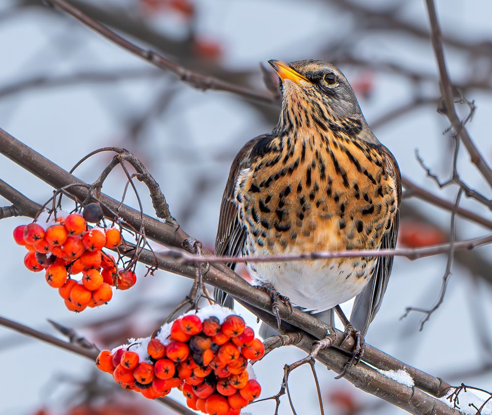Photograph by Viktor Makarov