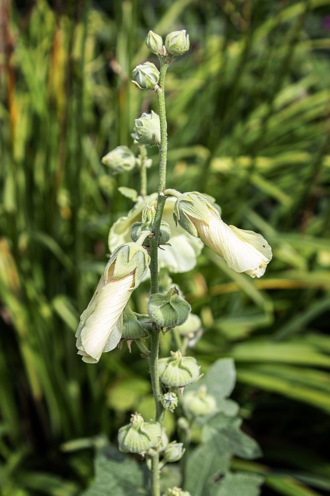 Photograph by Елена Беланенко