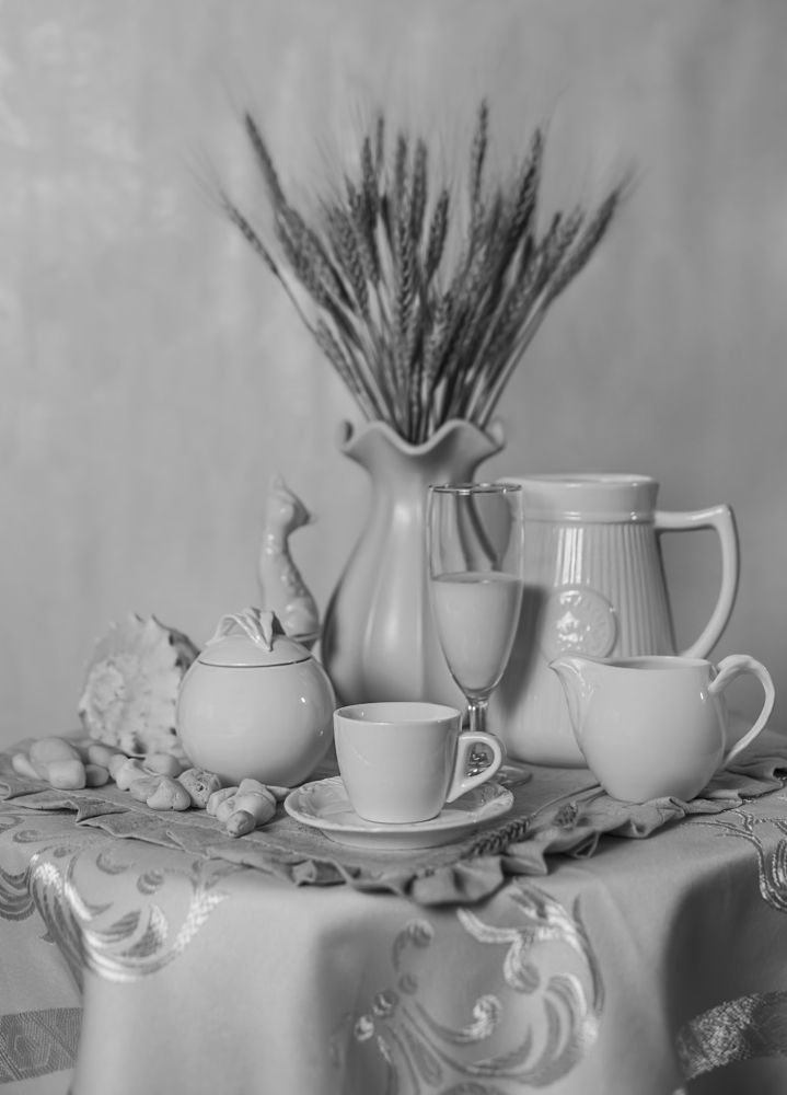 Фотография автора Елена Разина