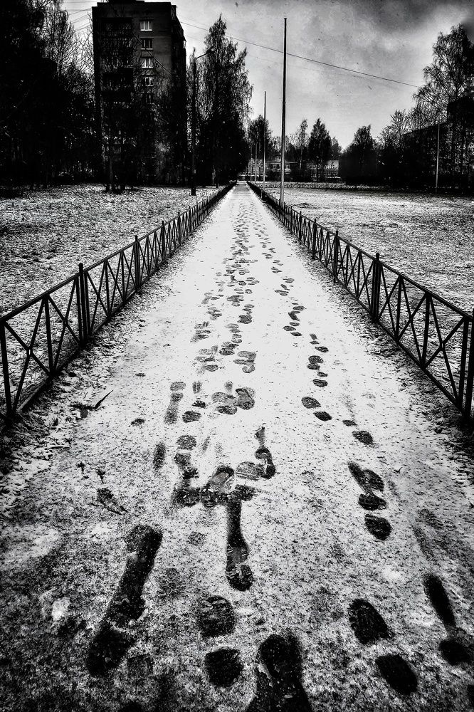 Фотография автора Алёна Михайлова