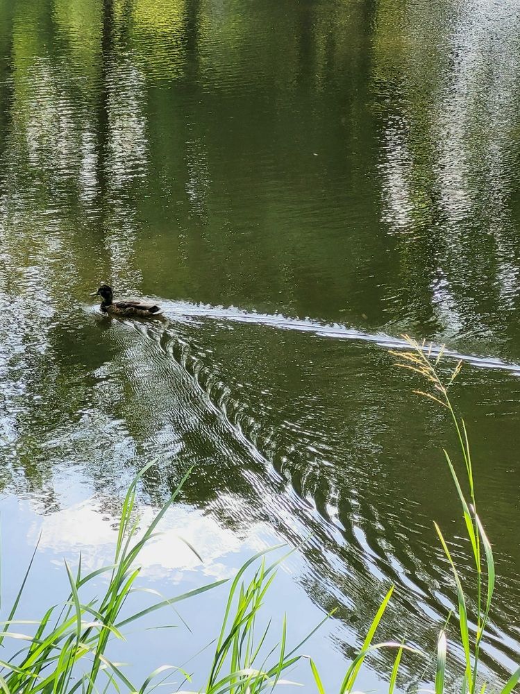 Фотография автора Казакова Людмила Ивановна