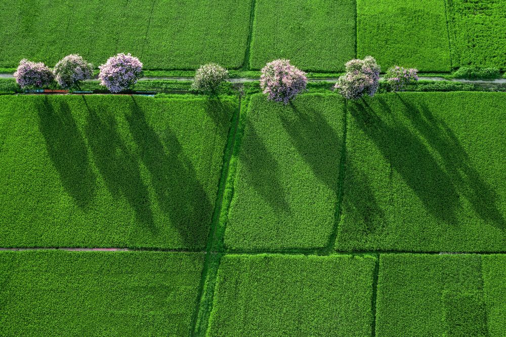 Фотография автора Lien Vu