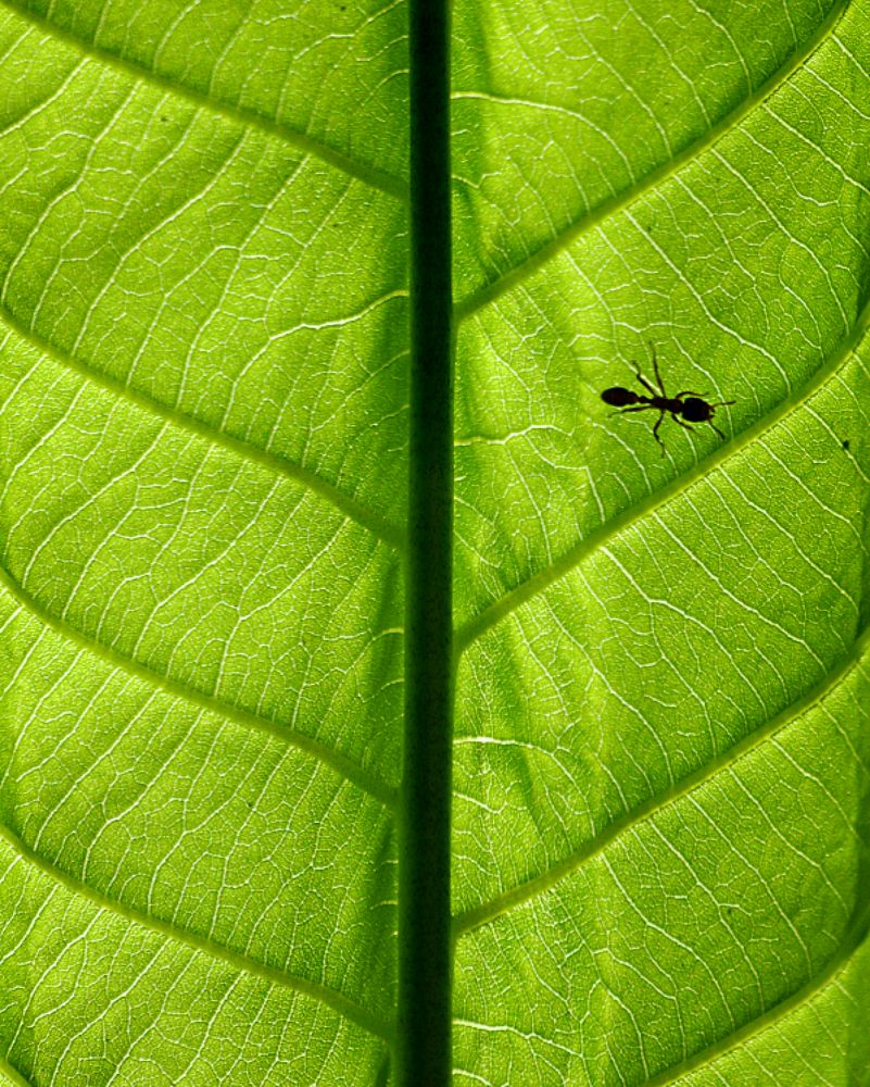 Photograph by Diana Duque