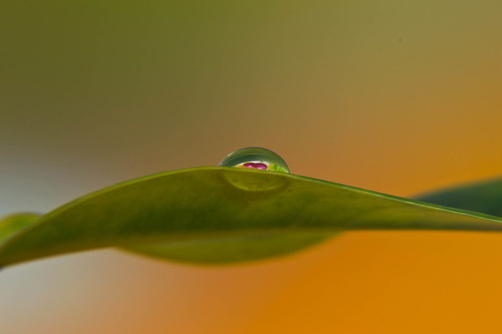 Фотография автора Юлия Кранина