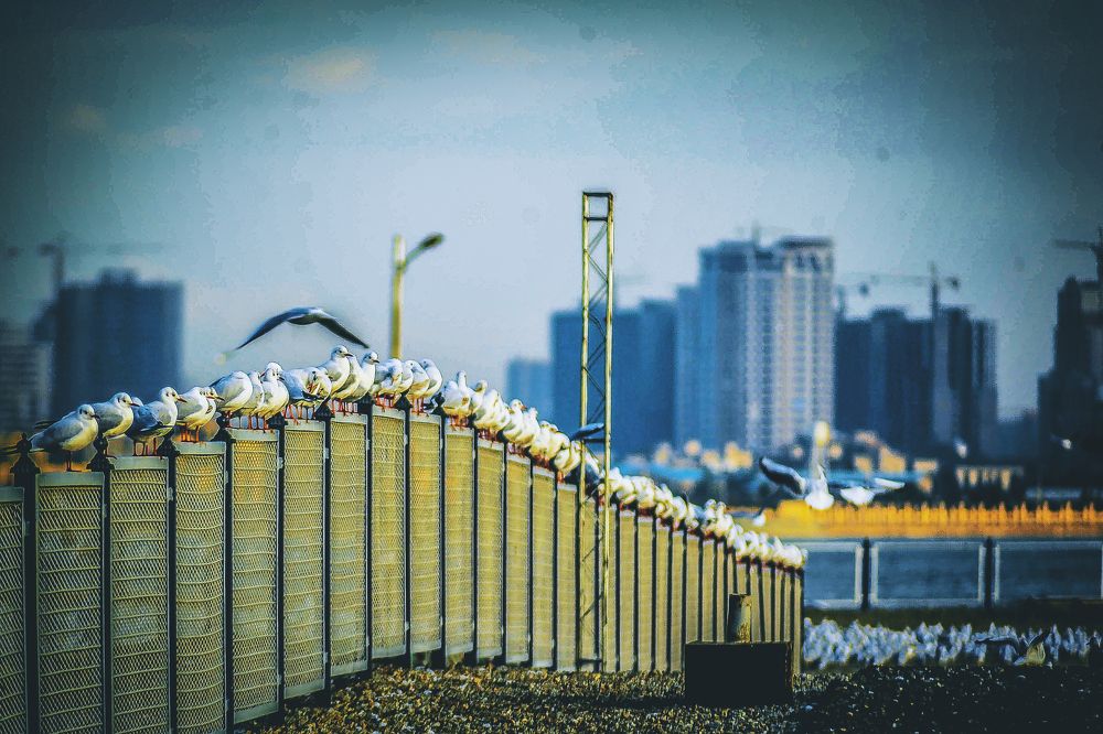 Photograph by DAMOUN POURNEMATI