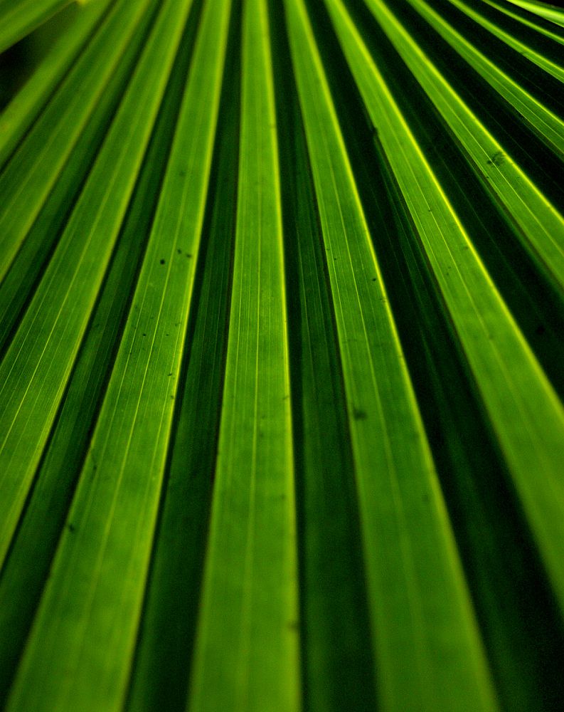 Photograph by Diana Duque