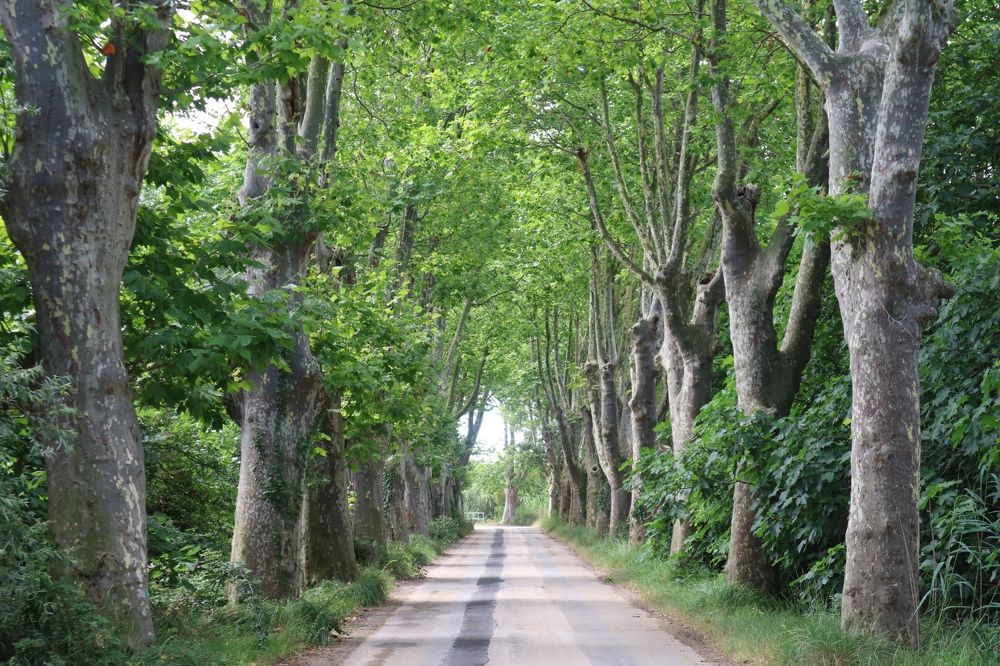 Photograph by Eva Wiedemann