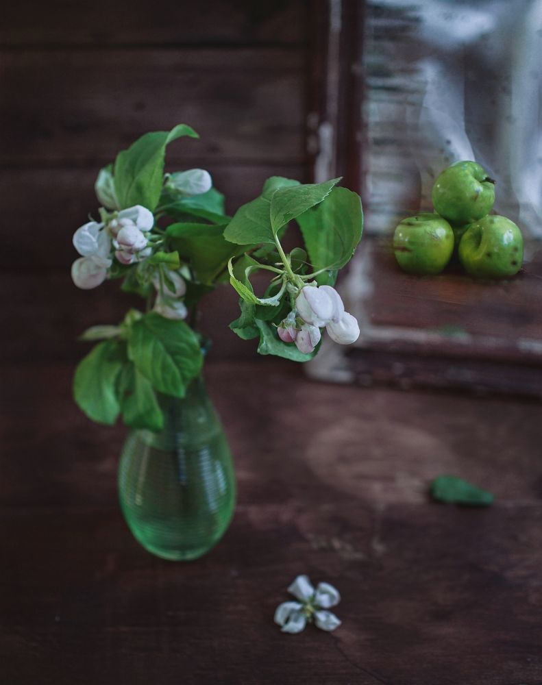 Фотография автора Svetlana Inyusheva