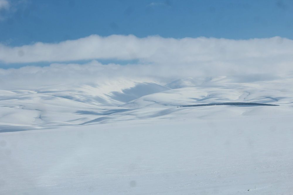Фотография автора Mariami Sanishvili