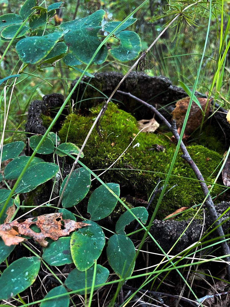 Photograph by Nadezda Yablokova