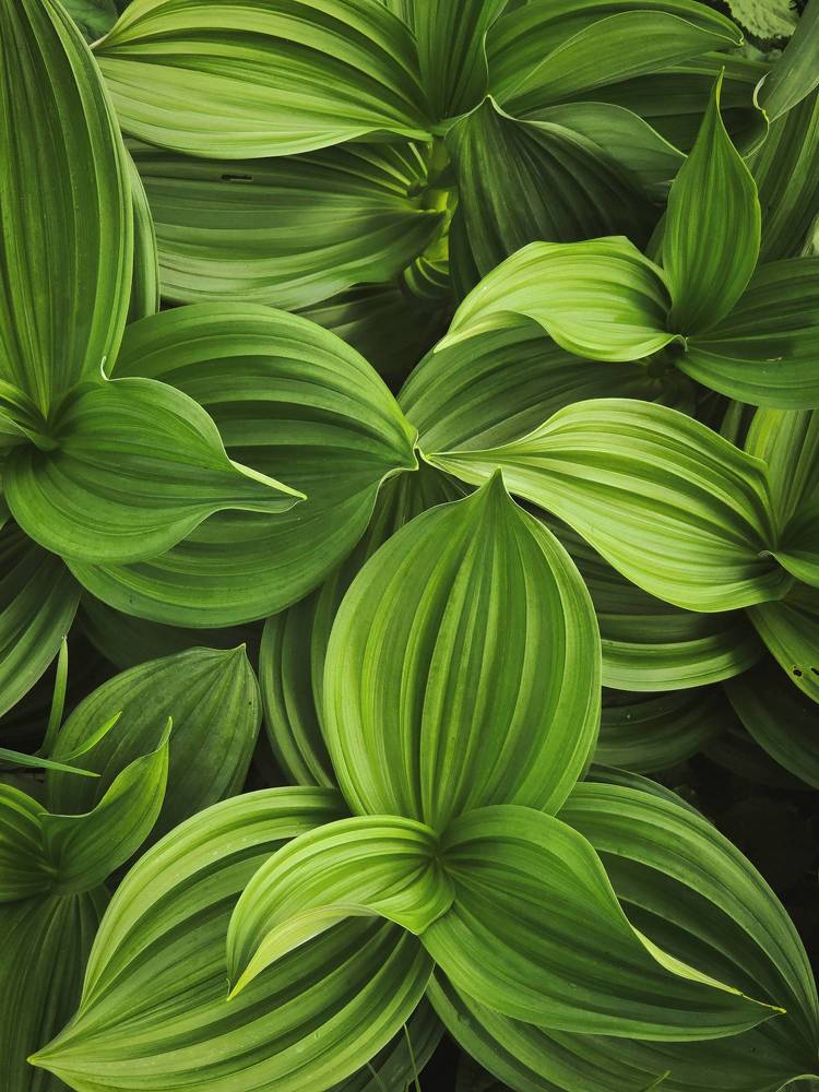 Photograph by Василий Яковлев