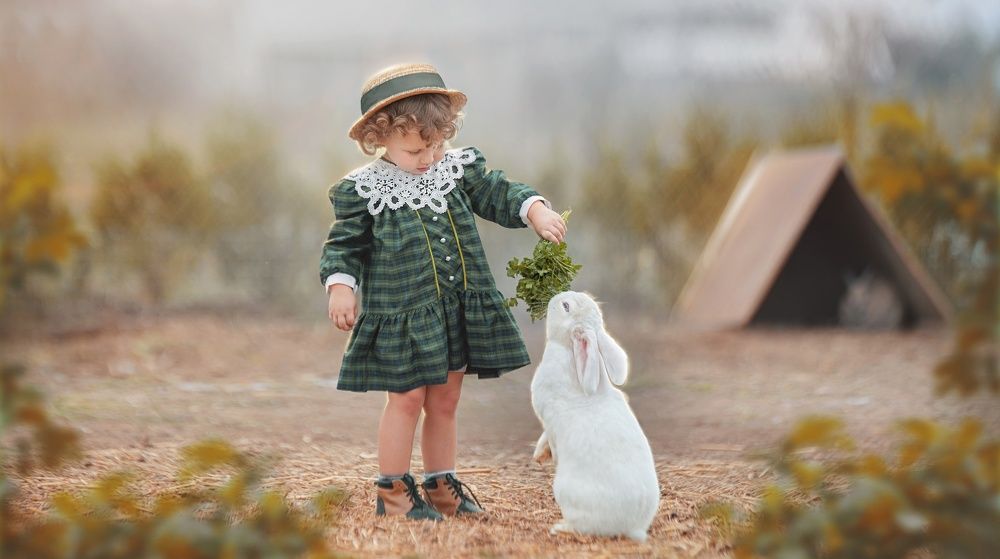 Photograph by Заручевская Надежда