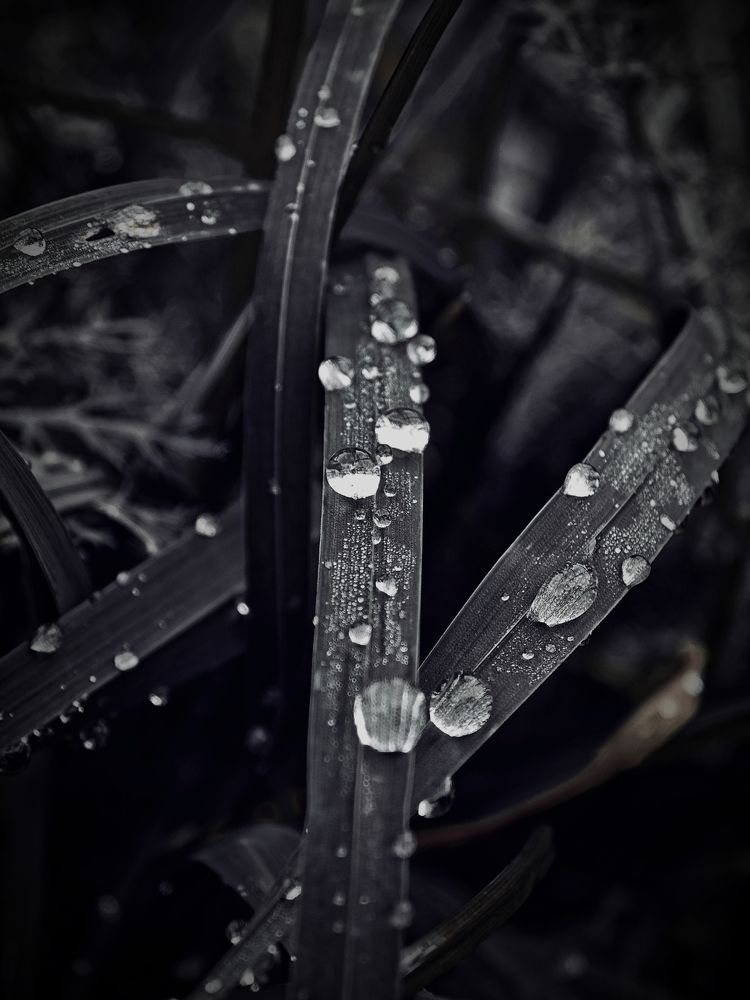 Photograph by Алексей Климов