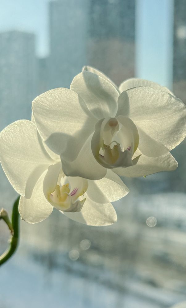 Photograph by Ekaterina Slepneva