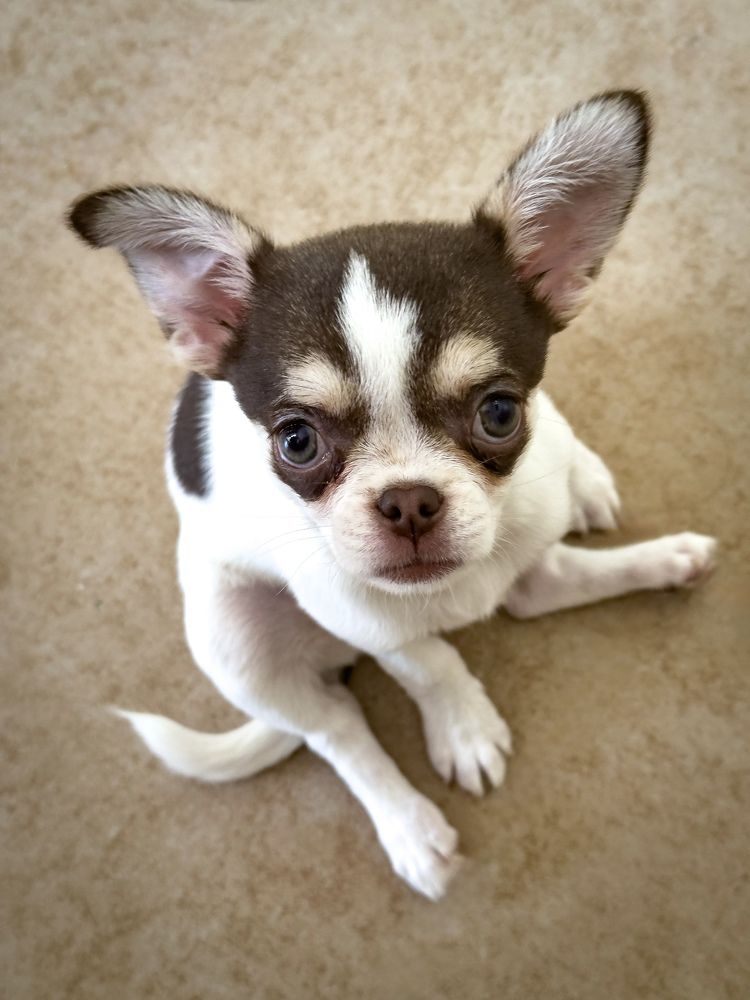 Photograph by Ekaterina Slepneva