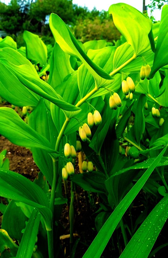 Photograph by Наталья Назаренко