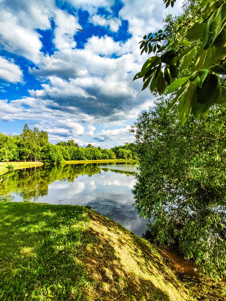 Фотография автора Нина Зинченко