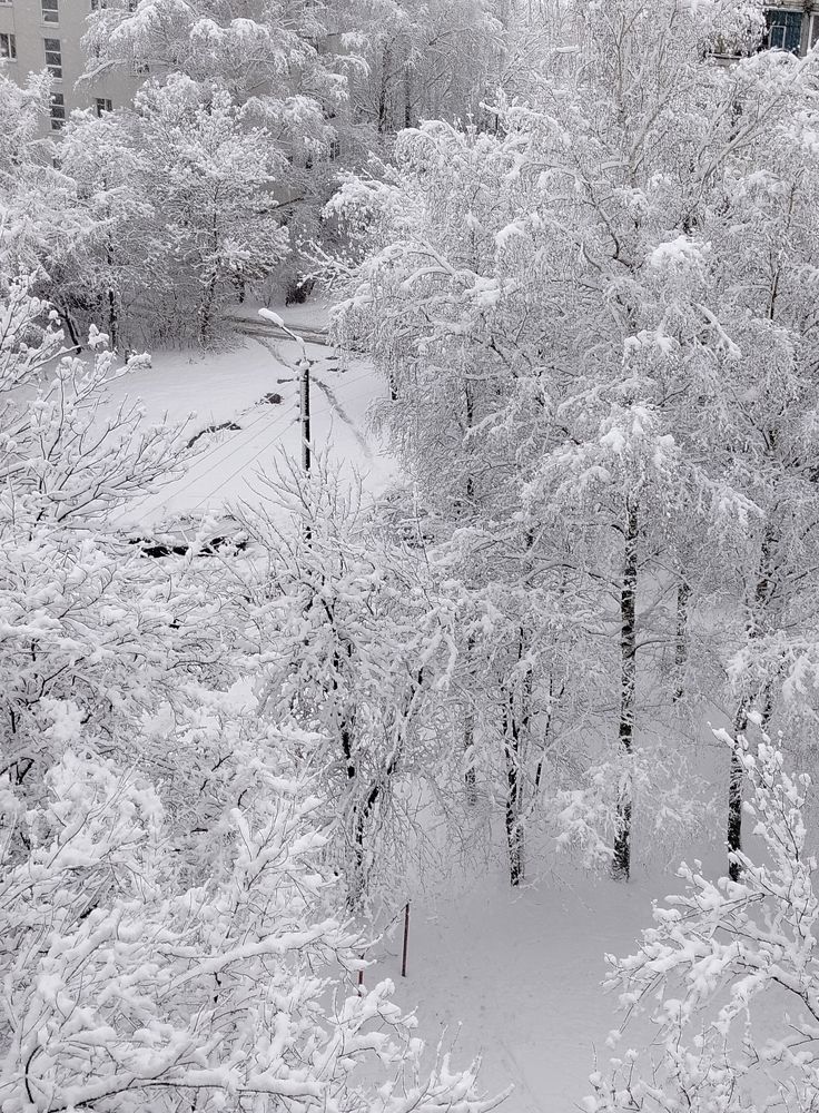 Photo #11408946