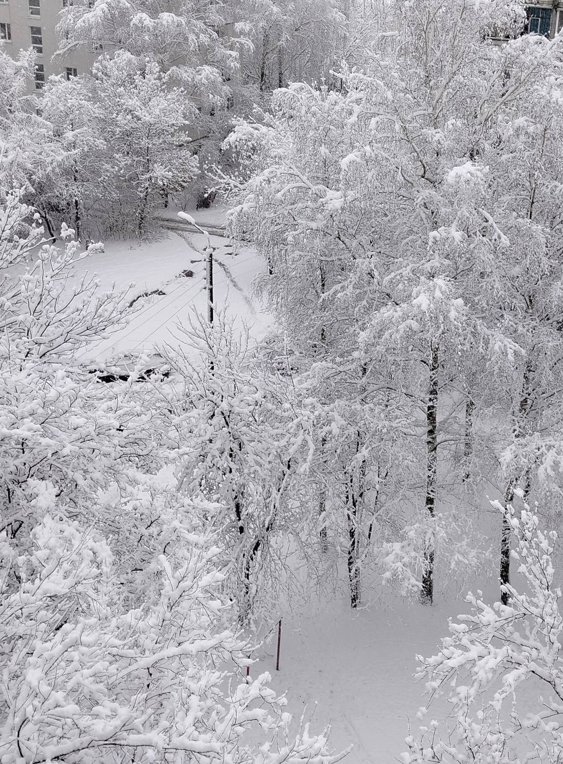 Photo #11408946