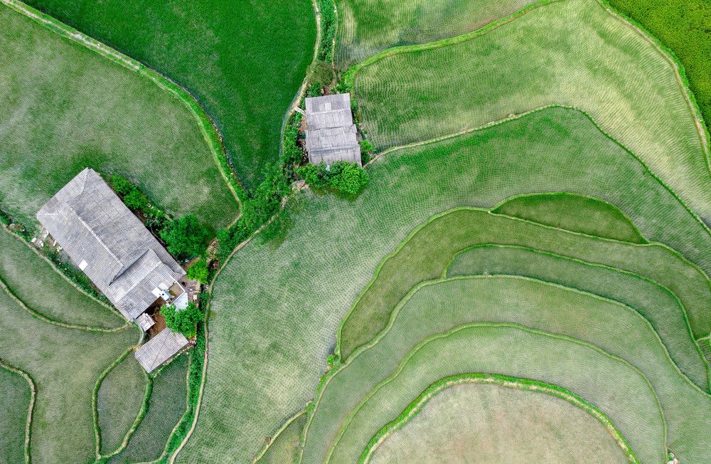 Фотография автора Lien Vu