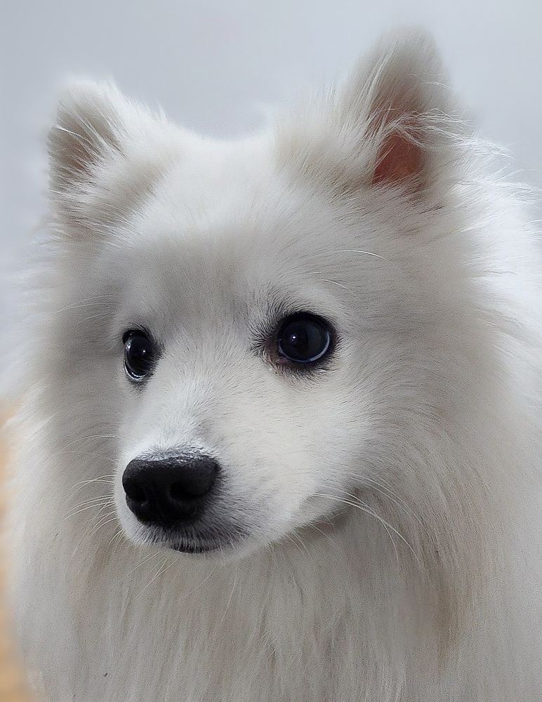 Фотография автора Galina Israilov