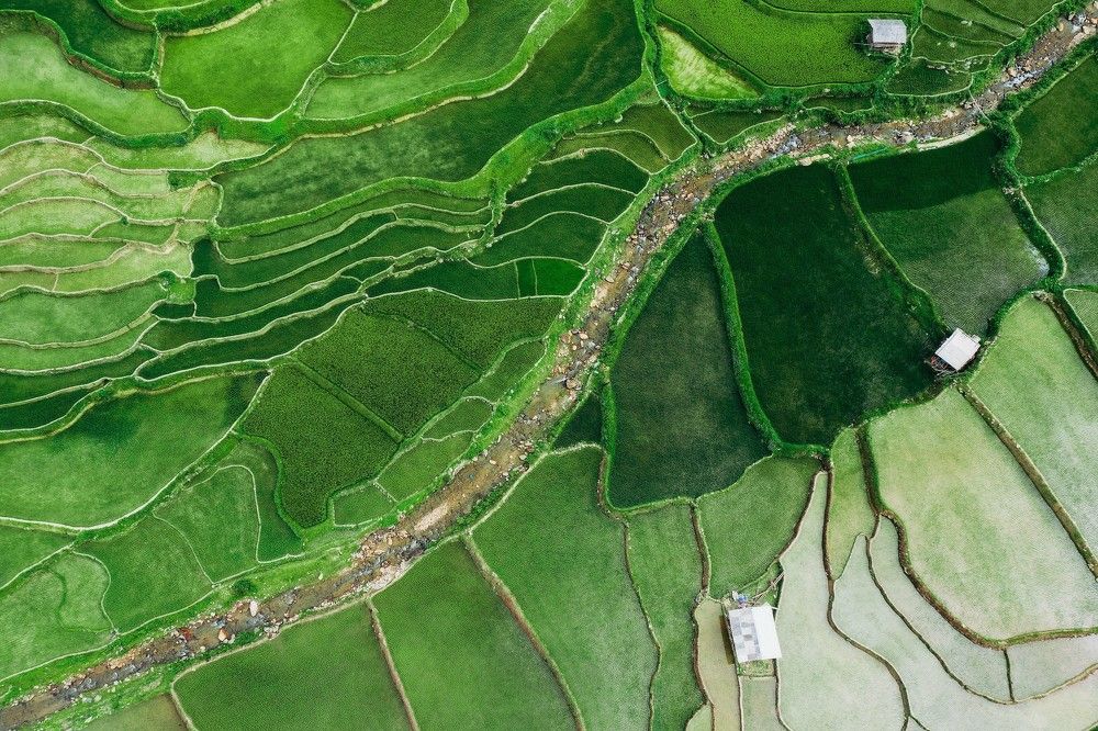 Фотография автора Lien Vu