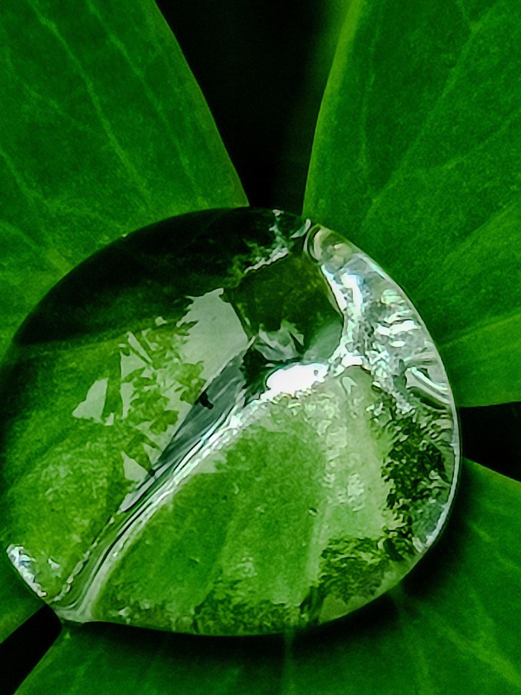 Фотография автора Нина Зинченко