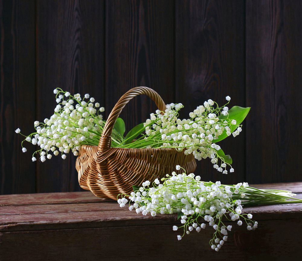 Photograph by Наталья Казанцева