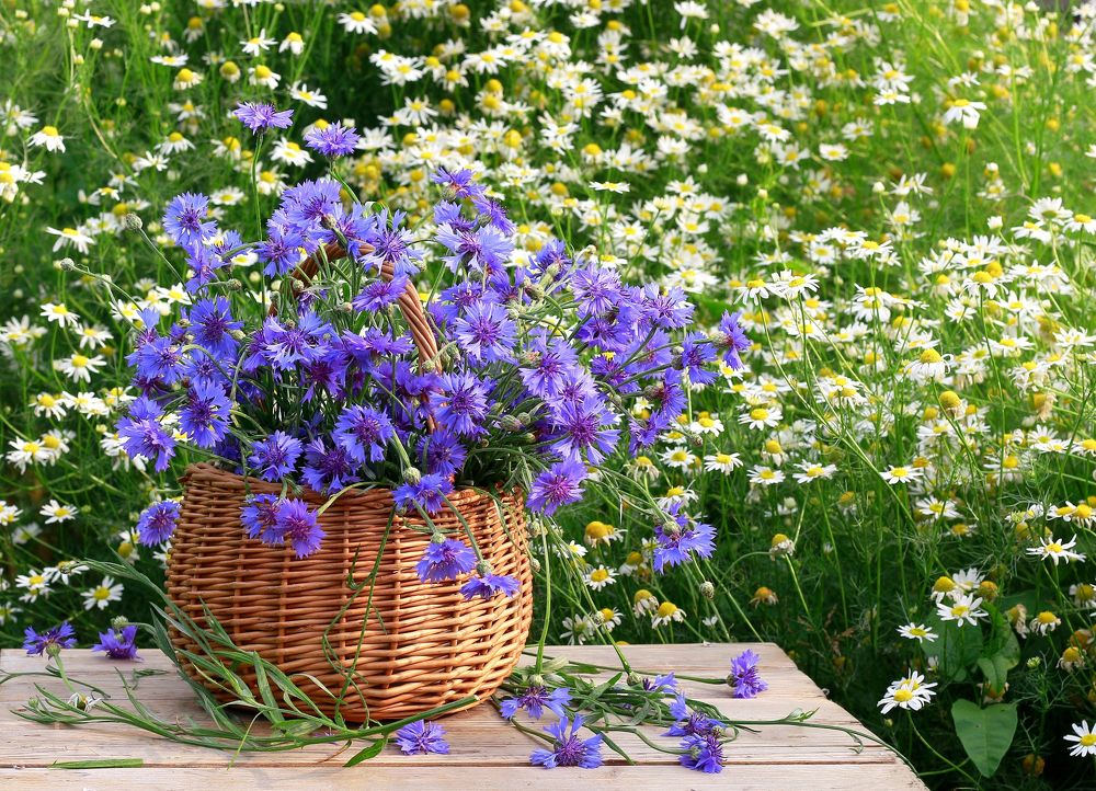 Photograph by Наталья Казанцева