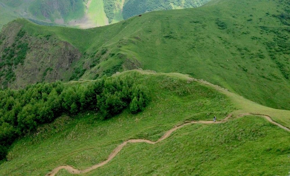 Photograph by Жанна Нечаева