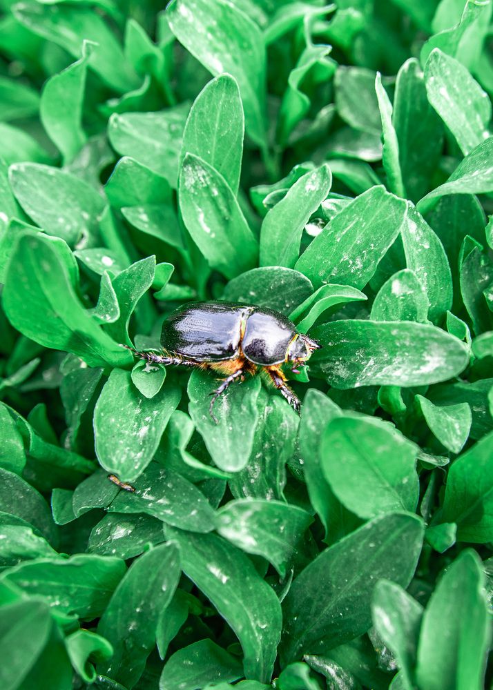 Фотография автора Сергей Рыженко