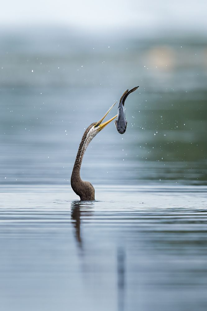 Photograph by Mineth Vismitha