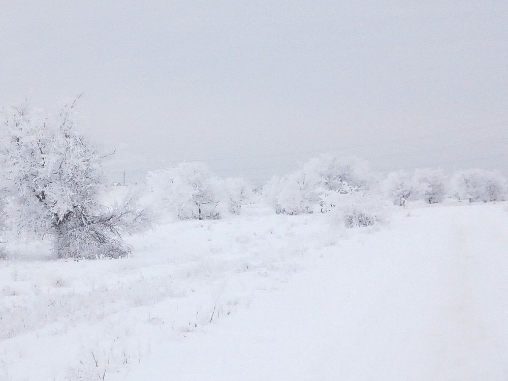 Photograph by Анна Устинова