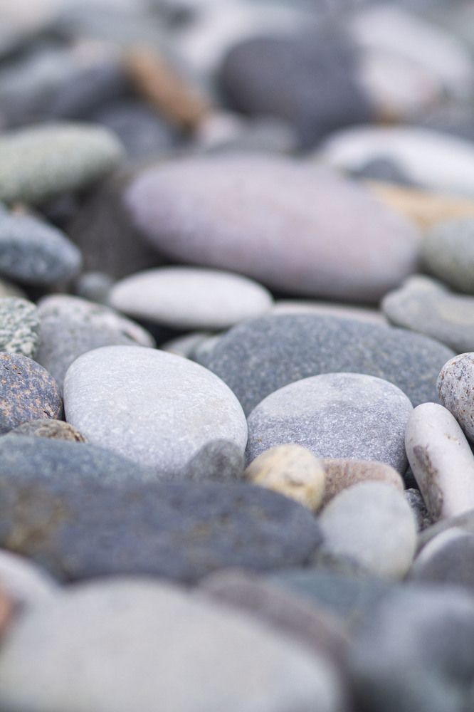 Photograph by Майя Чехова