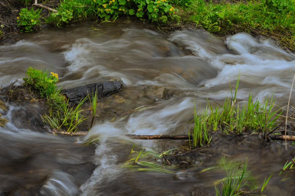 Photograph by Александр Пургин