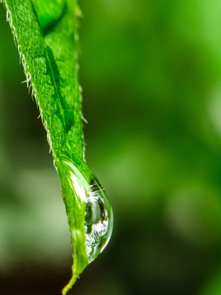 Фотография автора Нина Зинченко