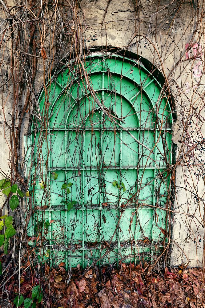 Старая дверь