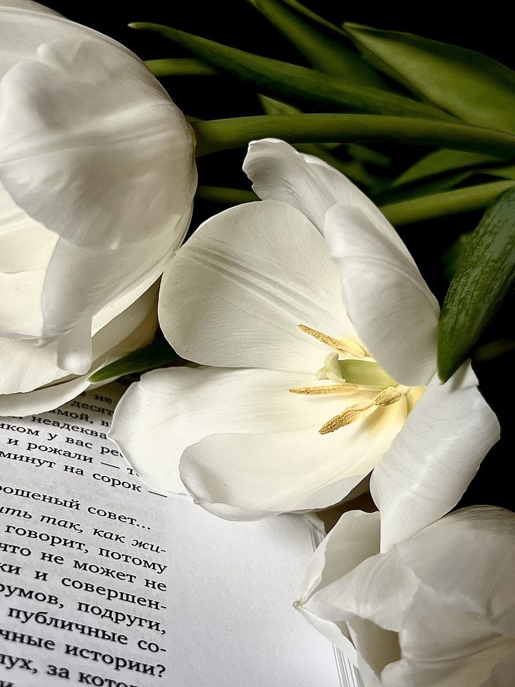 Photograph by Елена Громова