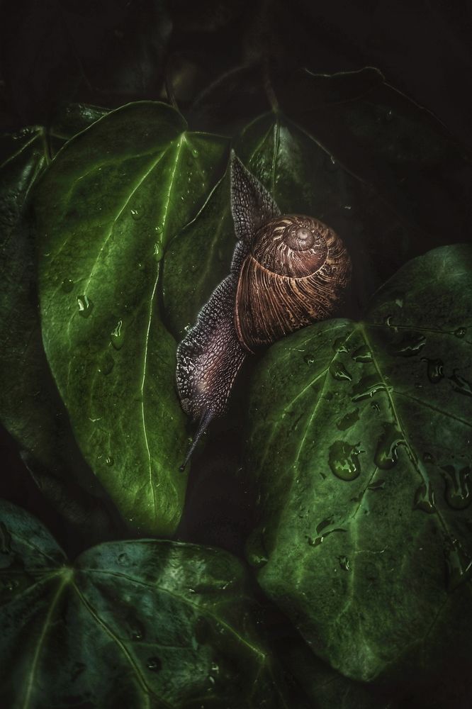 Photograph by Евгения Кинжакова