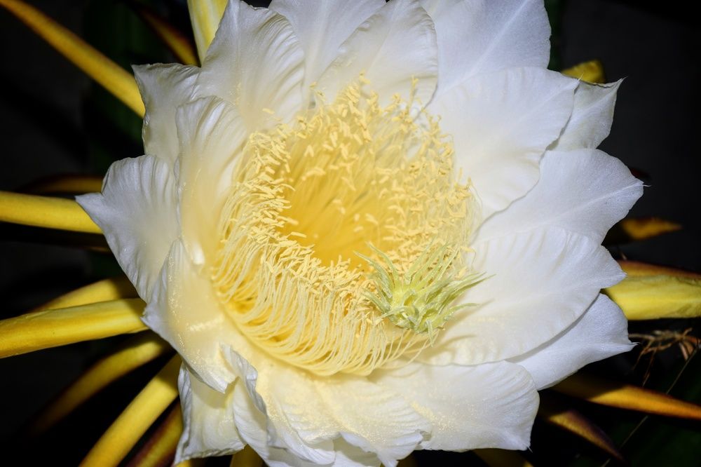 Фотография автора Sheuli Akther